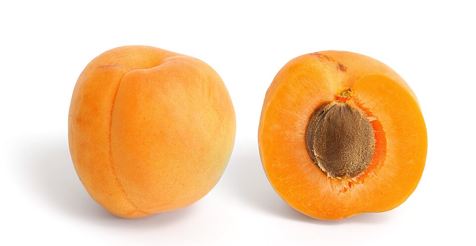 Apricot — fresh at Idrees Fruits, Deolali Camp