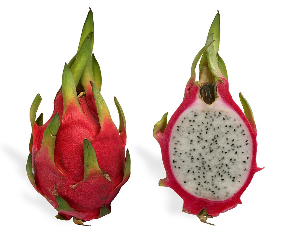 Dragon Fruit — fresh at Idrees Fruits, Deolali Camp
