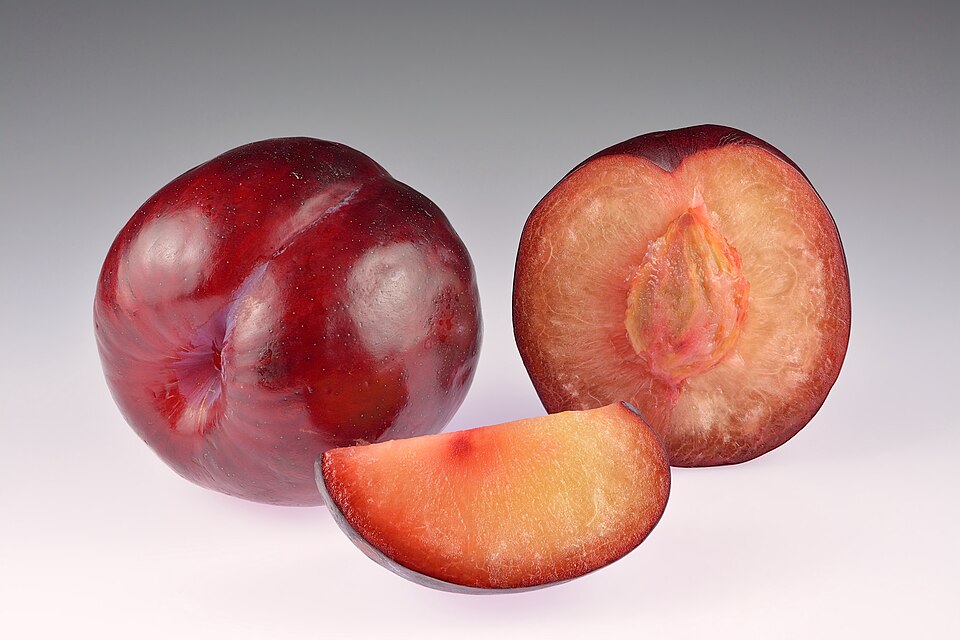 Plum — fresh at Idrees Fruits, Deolali Camp