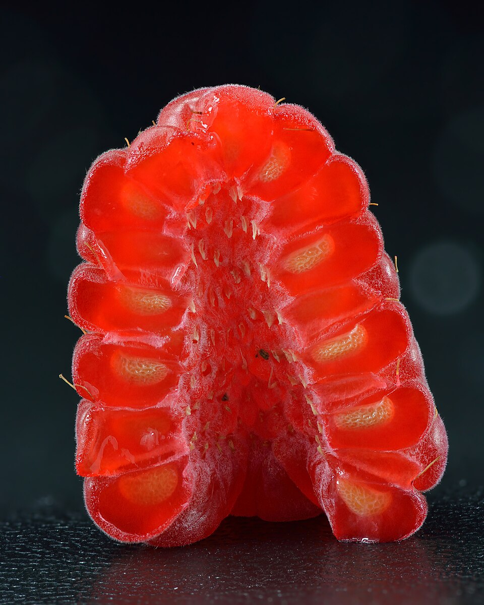Raspberry — fresh at Idrees Fruits, Deolali Camp